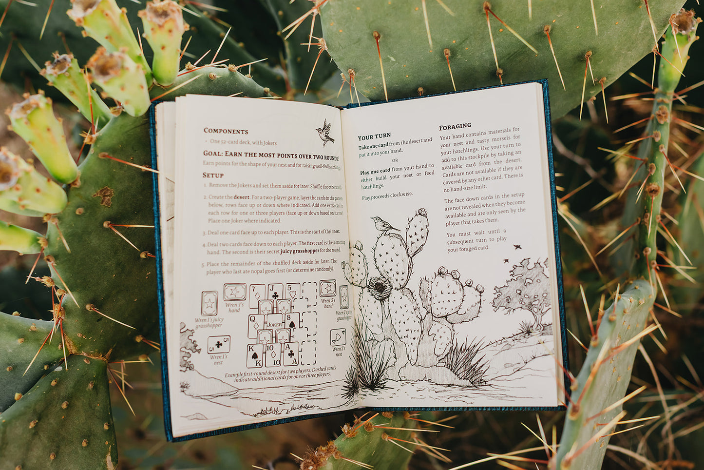 Texas: Card Games Inspired by the Lone Star State